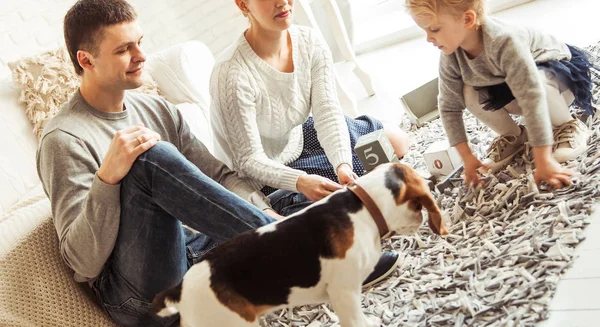 Šťastná rodina hraje s psa v prostorném obývacím pokoji — Stock fotografie
