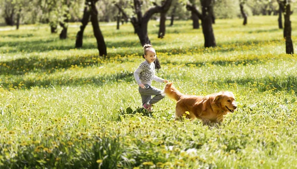 Riendly, alegre família fazendo um piquenique . — Fotografia de Stock