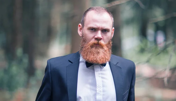 Retrato de un exitoso hombre de negocios con traje y corbata sobre un fondo forestal — Foto de Stock