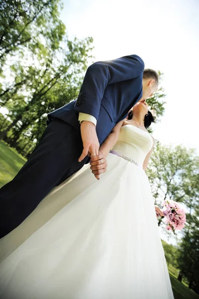 Vista dal basso. bacio della sposa e dello sposo . — Foto Stock