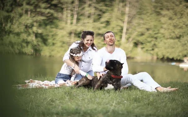 Lycklig familj med sällskapsdjur hund på picknick i en solig sommardag. pregn — Stockfoto
