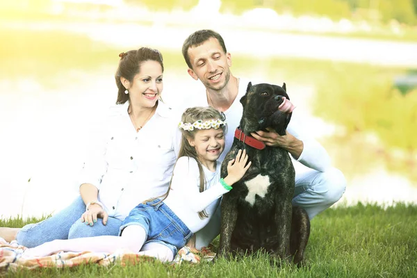 Kleine Tochter und ihr Hund beim Picknick am Fluss — Stockfoto