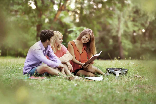 Successful group of students with notebooks at the Park with a book and a guitar — Stock Photo, Image