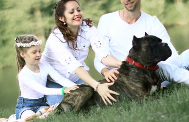 Güneşli bir yaz gününde piknikte köpekli mutlu bir aile. pregn