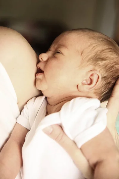 Сережа новорожденный на руках у матери — стоковое фото