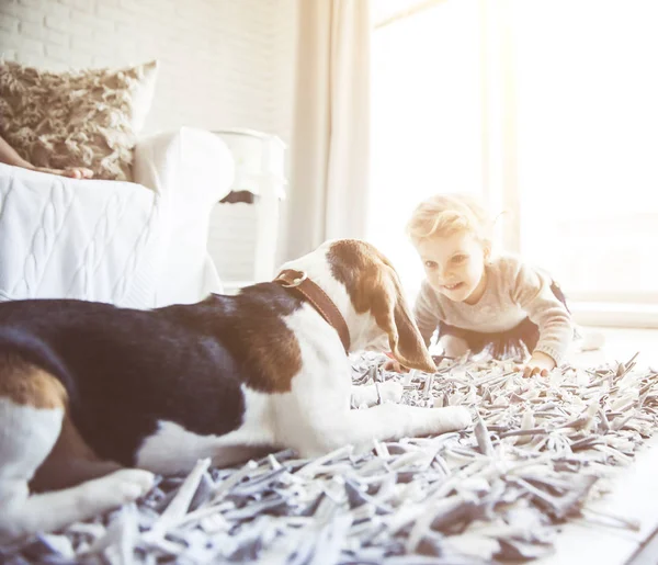 Hübsches kleines Mädchen spielt mit ihrem Hund — Stockfoto