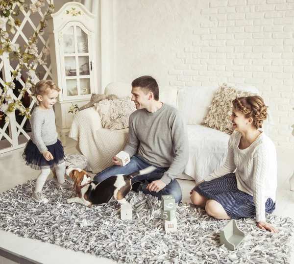 Familia feliz jugando con un perro mascota en la amplia sala de estar — Foto de Stock