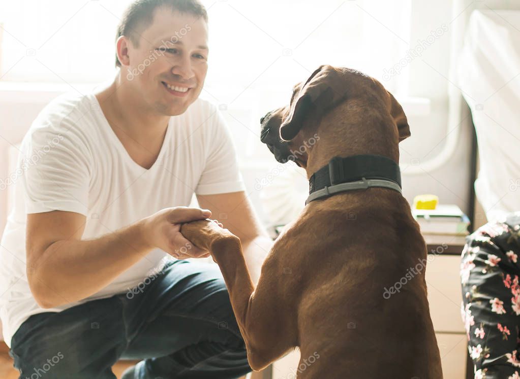 home big dog extends a paw to her happy owner