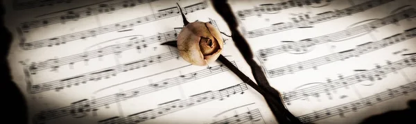 Concepto de time.yellow rosa en la hoja de música —  Fotos de Stock