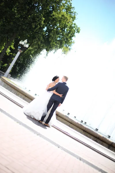 Visa från top.the bruden och brudgummen står framför fontänen — Stockfoto