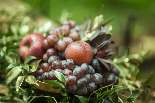 Composition of fruits and leaves on blurred background. — Stock Photo, Image