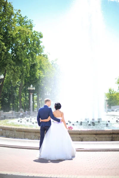 Vue arrière.marié de mariée debout devant la fontaine — Photo