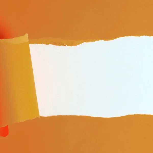 Oranžové roztržené list na bílém pozadí. — Stock fotografie