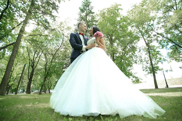 Feliz recém-casados no parque em dia ensolarado — Fotografia de Stock