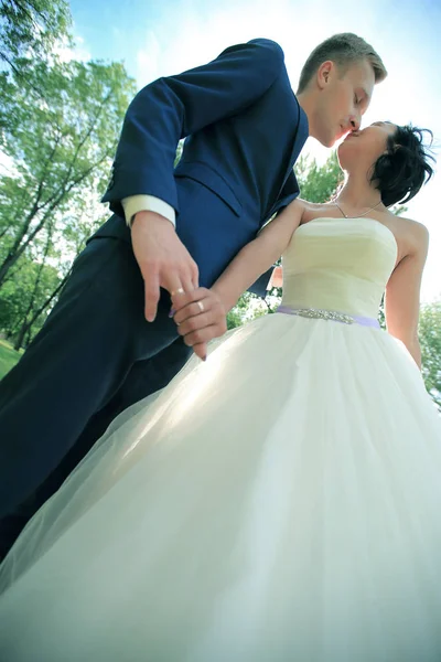 Fechar. retrato de noiva e noivo beijando  . — Fotografia de Stock