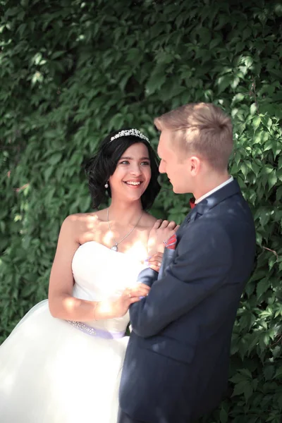 Closeup .happy newlyweds στο φόντο του φυλλώματος — Φωτογραφία Αρχείου