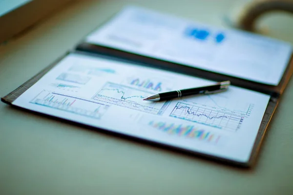 Desenhos e esquemas de negócio bem sucedido, contabilidade — Fotografia de Stock