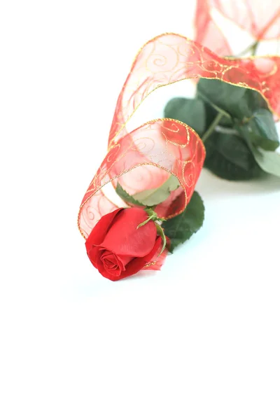 Rote Rose auf weißem Hintergrund. Foto mit Kopierraum — Stockfoto