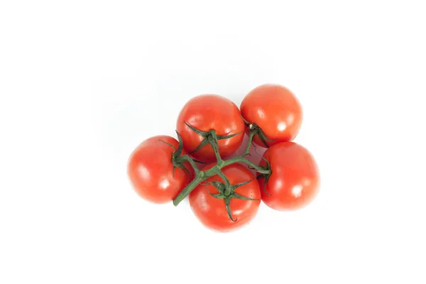 Tomatoes on a branch .isolated white background — Stock Photo, Image