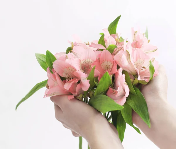 Bukett blommor i kvinnliga händer isolerad på en ljus backgrou — Stockfoto
