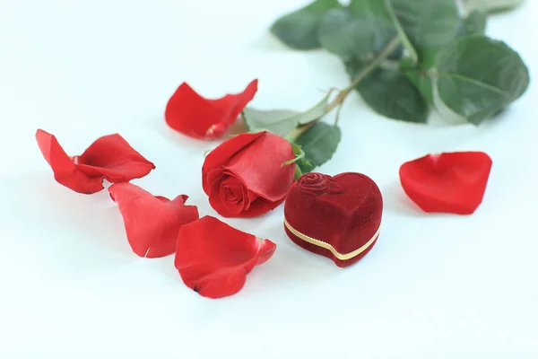 Rosa vermelha, jóias e pétalas sobre fundo branco — Fotografia de Stock