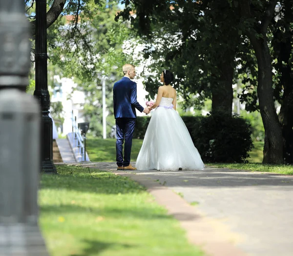 Noivo e noiva andando ao longo do beco no fundo das árvores — Fotografia de Stock