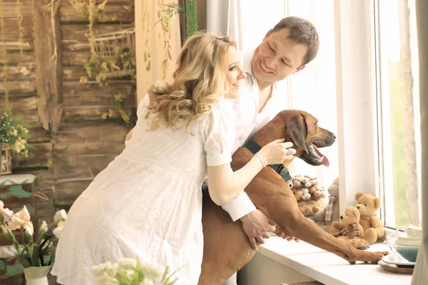 Mąż, żona w ciąży i pies patrząc w okno duże — Zdjęcie stockowe