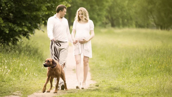 Lyckliga par blivande föräldrar på promenad med hunden i parken — Stockfoto