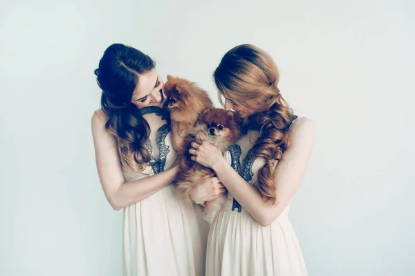 Dois bela Spitz nas mãos de meninas bonitos . — Fotografia de Stock