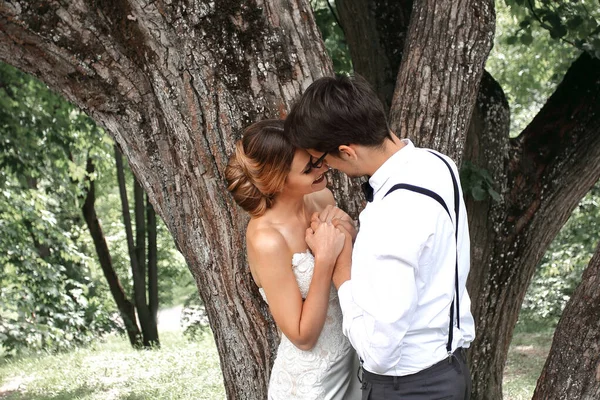 Happy newlyweds kiss near a large spreading tree — 스톡 사진