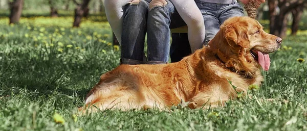 Liefdevolle ouders met hun kinderen op een schommel op een zomerdag — Stockfoto