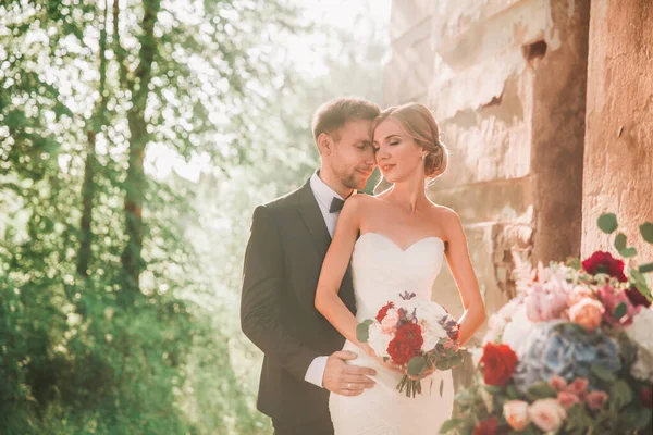 Newlyweds for a walk in the old Park. — Stock Photo, Image