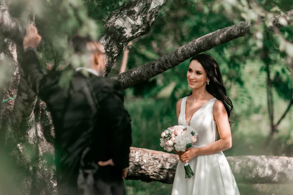 Glückliche Braut und Bräutigam stehen neben altem großen Baum. — Stockfoto