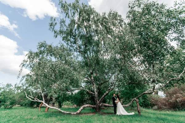 Ευτυχισμένη νύφη και γαμπρός στέκονται δίπλα στο στέμμα ενός μεγάλου δέντρου. — Φωτογραφία Αρχείου
