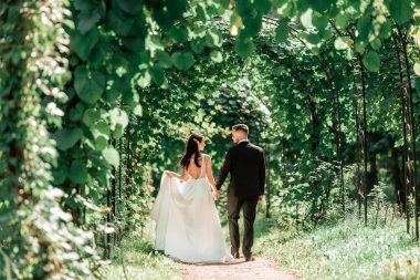 rear view. happy bride and groom passing under the wedding arch.