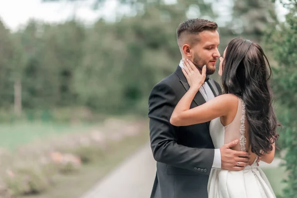 Наречений і наречений цілуються стоячи на шляху в парку — стокове фото