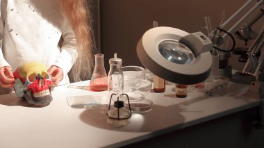 Güzel kız, insan kafatasının yapısını inceliyor.