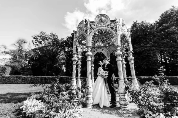 Mutlu gelin ve damat kemerli taraçada duruyor. — Stok fotoğraf