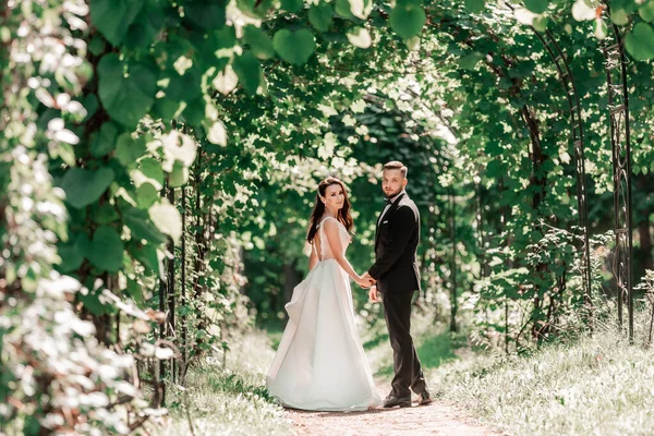 Vue arrière. heureux marié et mariée passant sous l'arche de mariage . — Photo