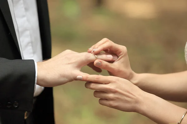 Primer plano, arriba., novia, poniendo, boda, anillo, novios, dedo . —  Fotos de Stock