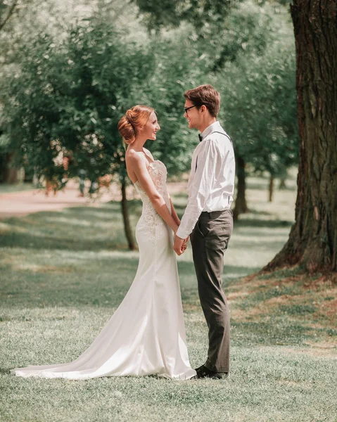 Happy newlyweds stand together in a Sunny Park — Stock Photo, Image