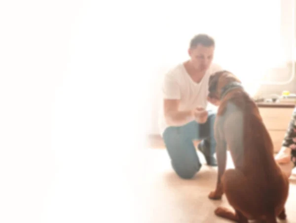 Hombre joven y su perro mascota en un apartamento moderno de la ciudad. fondo para texto borroso con espacio de copia — Foto de Stock