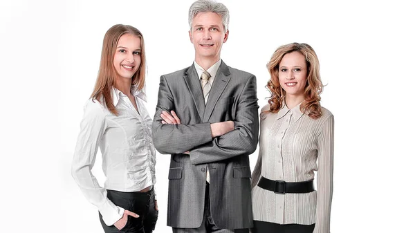 Porträtt av en framgångsrik professionell business-team. — Stockfoto