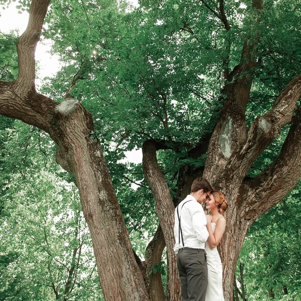 Happy newlyweds standing near a large spreading tree. — Stock Photo, Image