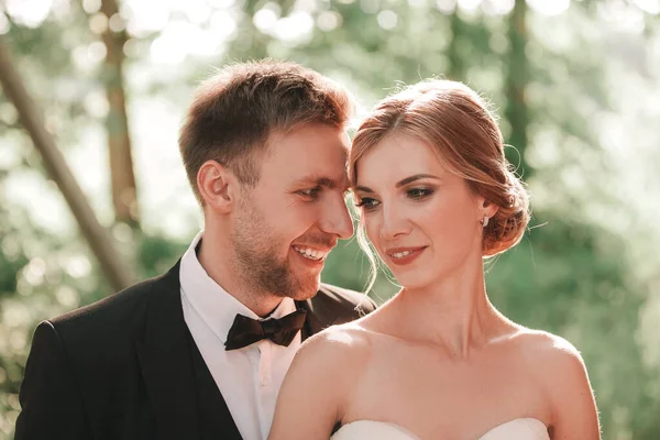 Close up. beautiful portrait of the newlyweds — Stock Photo, Image