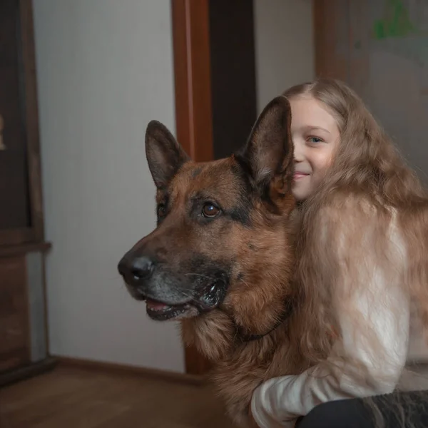 Klein meisje knuffelt een vriendelijke grote hond. — Stockfoto