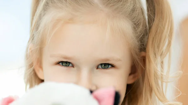 Closeup.beautiful little girl with a soft toy . — Stock Photo, Image