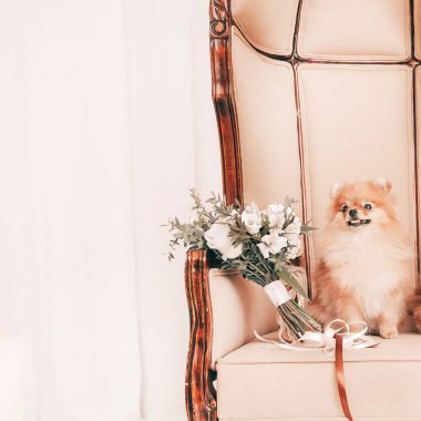 Düğün buketi ve tahtta oturan bir çift şirin köpek..