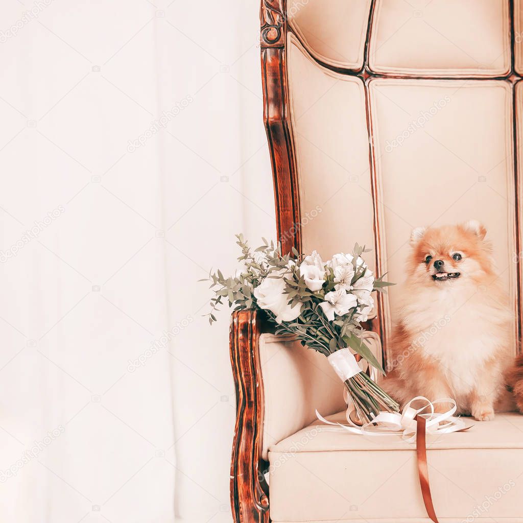 wedding bouquet and a pair of cute dogs sitting on the throne.