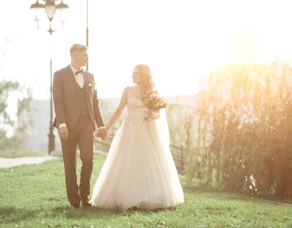 Feliz recém-casados andando na grama no parque da cidade . — Fotografia de Stock